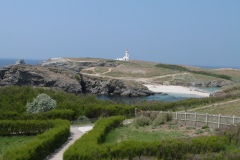 P1640009